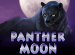 Panther Moon