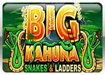 Игровой автомат Big Kahuna Snakes
